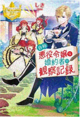 砖红年代记封面